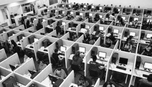 People working in cubicles - Business Culture and processes